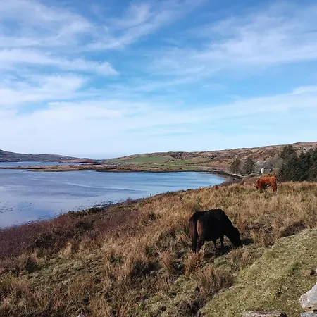 Rest And Recharge At 12 Glen *