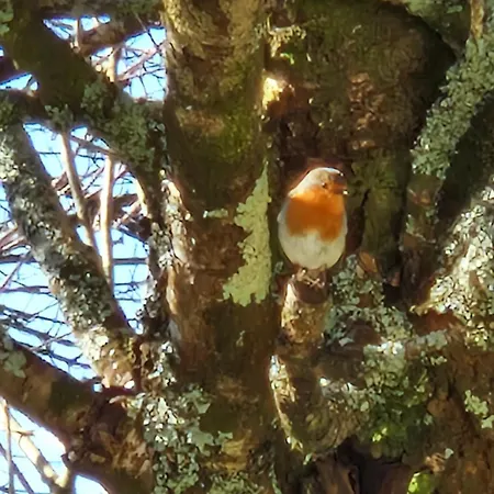 Rest And Recharge At 12 Glen Clifden