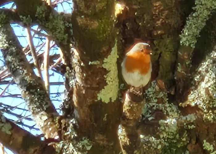 Rest&recharge At 12 Glen Clifden